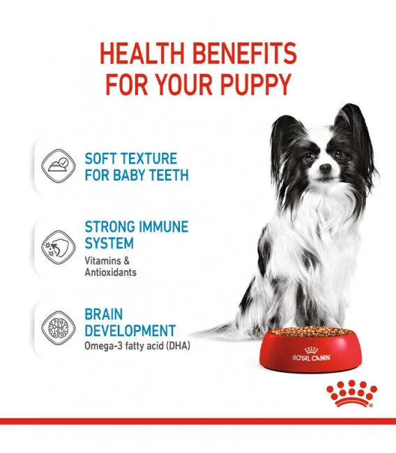 Royal Canin, X-Small Puppy 85g